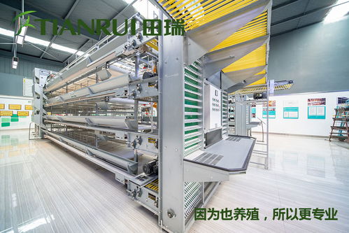重慶全自動蛋雞養殖設備特價批發田瑞牧業——跨界融合中的機遇與挑戰