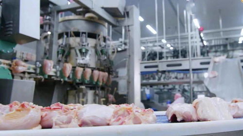 江西圣農 深延產業鏈，鍛造肉制品加工行業新龍頭